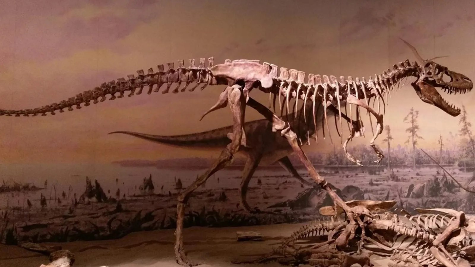 Ancient Secrets Revealed: How Dinosaurs’ Diverse Diets Led to Their Long-Lasting Reign